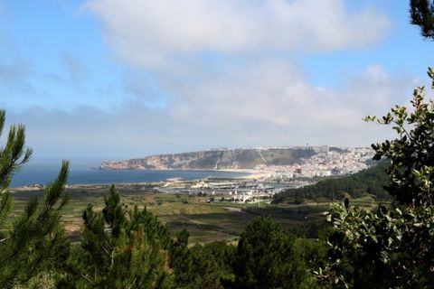 Villa i Nazare, Leiria, Nazare - € 450.000 | Ref: IMO-766 - foto 31