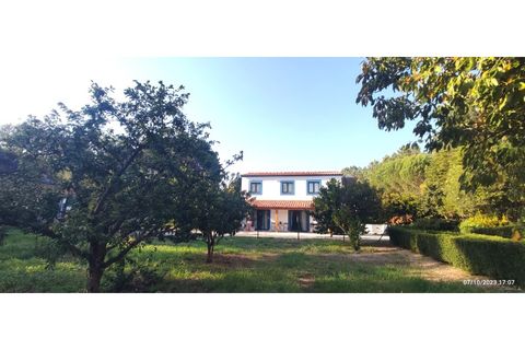 Farm i Alcobaca, Leiria, Alcobaca - € 900.000 | Ref: MAS_254 - foto 1