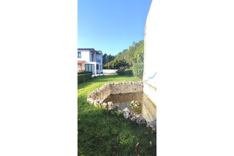 Farm i Alcobaca, Leiria, Alcobaca - € 900.000 | Ref: MAS_254 - foto 2
