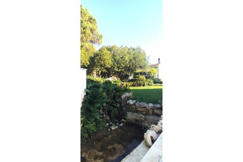 Farm i Alcobaca, Leiria, Alcobaca - € 900.000 | Ref: MAS_254 - foto 6