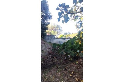 Farm i Alcobaca, Leiria, Alcobaca - € 900.000 | Ref: MAS_254 - foto 7