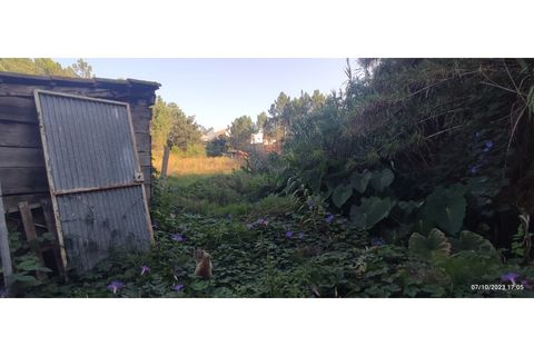 Farm i Alcobaca, Leiria, Alcobaca - € 900.000 | Ref: MAS_254 - foto 9