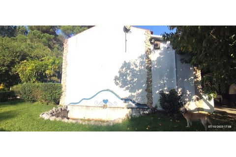 Farm i Alcobaca, Leiria, Alcobaca - € 900.000 | Ref: MAS_254 - foto 10
