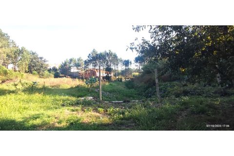 Farm i Alcobaca, Leiria, Alcobaca - € 900.000 | Ref: MAS_254 - foto 12