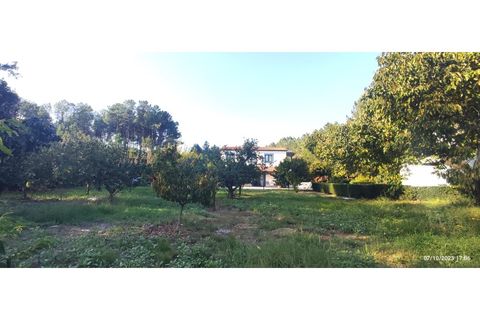 Farm i Alcobaca, Leiria, Alcobaca - € 900.000 | Ref: MAS_254 - foto 13