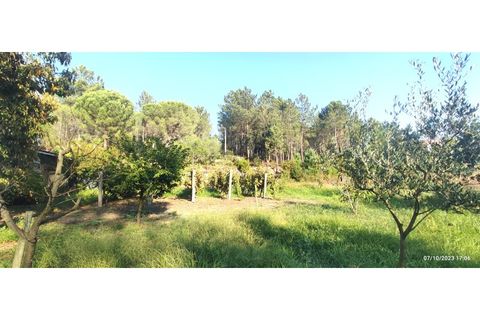 Farm i Alcobaca, Leiria, Alcobaca - € 900.000 | Ref: MAS_254 - foto 14