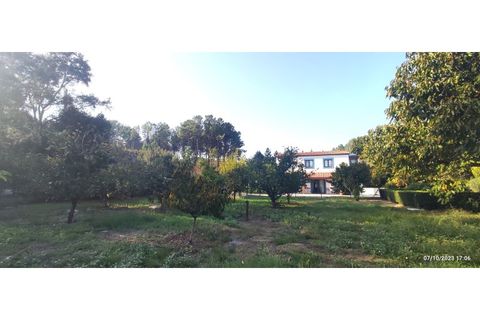 Farm i Alcobaca, Leiria, Alcobaca - € 900.000 | Ref: MAS_254 - foto 15