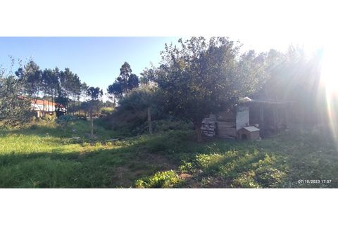 Farm i Alcobaca, Leiria, Alcobaca - € 900.000 | Ref: MAS_254 - foto 16