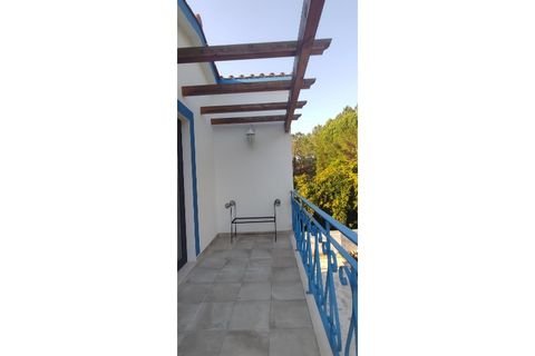 Farm i Alcobaca, Leiria, Alcobaca - € 900.000 | Ref: MAS_254 - foto 44