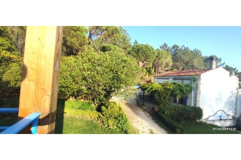 Farm i Alcobaca, Leiria, Alcobaca - € 900.000 | Ref: MAS_254 - foto 45