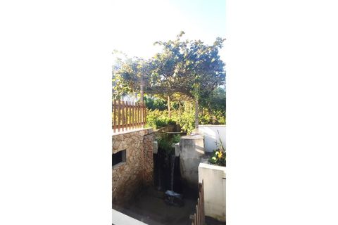 Farm i Alcobaca, Leiria, Alcobaca - € 900.000 | Ref: MAS_254 - foto 46