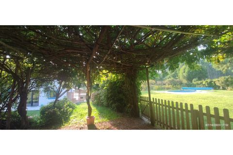 Farm i Alcobaca, Leiria, Alcobaca - € 900.000 | Ref: MAS_254 - foto 48