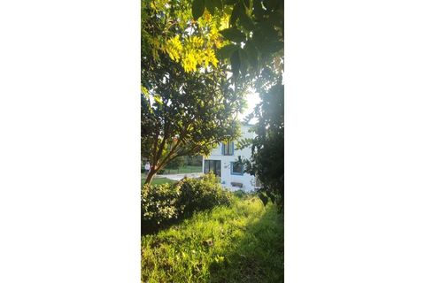 Farm i Alcobaca, Leiria, Alcobaca - € 900.000 | Ref: MAS_254 - foto 50