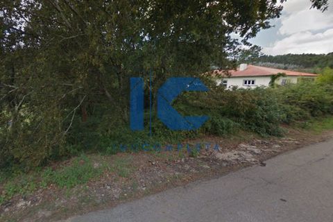 Helårsgrund i Agueda, Aveiro, Agueda - € 37.500 | Ref: 20240700105 - foto 3