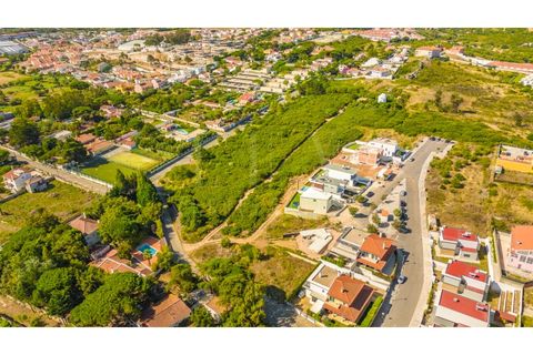 Helårsgrund i Sintra, Lisbon, Sintra - € 3.975.000 | Ref: EJM04 - foto 5
