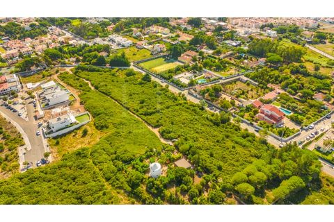 Helårsgrund i Sintra, Lisbon, Sintra - € 3.975.000 | Ref: EJM04 - foto 1