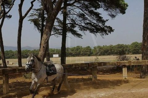 Helårsgrund i Sintra, Lisbon, Sintra - € 3.975.000 | Ref: EJM04 - foto 12
