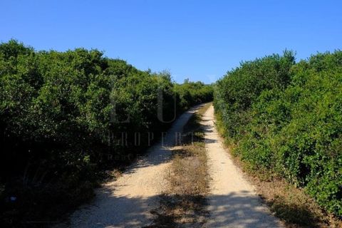 Helårsgrund i Sintra, Lisbon, Sintra - € 3.975.000 | Ref: EJM04 - foto 16