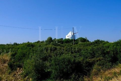 Helårsgrund i Sintra, Lisbon, Sintra - € 3.975.000 | Ref: EJM04 - foto 17