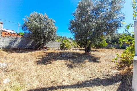 Villa i Soure, Coimbra, Soure - € 35.000 | Ref: 1565/AV - foto 2