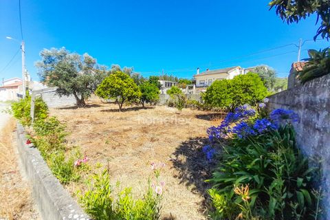 Villa i Soure, Coimbra, Soure - € 35.000 | Ref: 1565/AV - foto 3