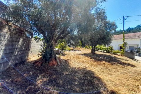 Villa i Soure, Coimbra, Soure - € 35.000 | Ref: 1565/AV - foto 4