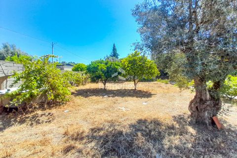 Villa i Soure, Coimbra, Soure - € 35.000 | Ref: 1565/AV - foto 5
