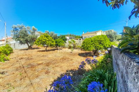 Villa i Soure, Coimbra, Soure - € 35.000 | Ref: 1565/AV - foto 6