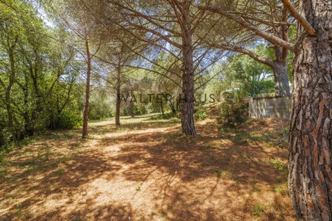 Erhvervsejendom i Calonge, Gerona, Calonge - € 1.500.000 | Ref: P0041V - foto 8