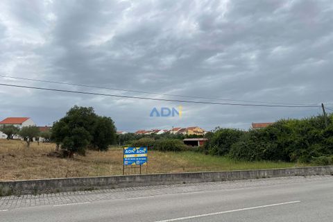 Helårsgrund i Castelo Branco, Castelo Branco, Castelo Branco - € 60.000 | Ref: 124077 - foto 8
