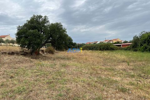 Helårsgrund i Castelo Branco, Castelo Branco, Castelo Branco - € 60.000 | Ref: 124077 - foto 4