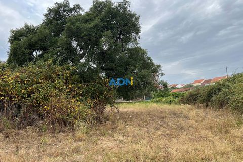 Helårsgrund i Castelo Branco, Castelo Branco, Castelo Branco - € 60.000 | Ref: 124077 - foto 3
