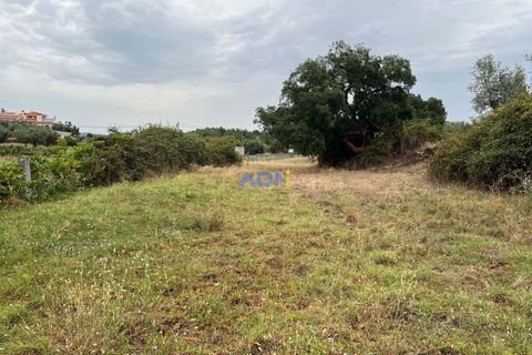 Helårsgrund i Castelo Branco, Castelo Branco, Castelo Branco - € 60.000 | Ref: 124077 - foto 2