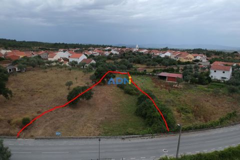 Helårsgrund i Castelo Branco, Castelo Branco, Castelo Branco - € 60.000 | Ref: 124077 - foto 10