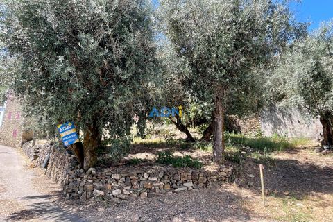 Villa a Proenca-a-Nova, Castelo Branco, Proenca-a-Nova - € 45.000 | Ref: 124084 - foto 16