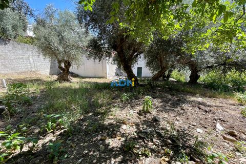 Villa a Proenca-a-Nova, Castelo Branco, Proenca-a-Nova - € 45.000 | Ref: 124084 - foto 17