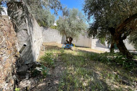 Villa a Proenca-a-Nova, Castelo Branco, Proenca-a-Nova - € 45.000 | Ref: 124084 - foto 18
