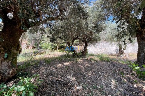 Villa a Proenca-a-Nova, Castelo Branco, Proenca-a-Nova - € 45.000 | Ref: 124084 - foto 19