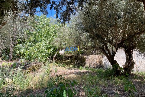Villa a Proenca-a-Nova, Castelo Branco, Proenca-a-Nova - € 45.000 | Ref: 124084 - foto 20