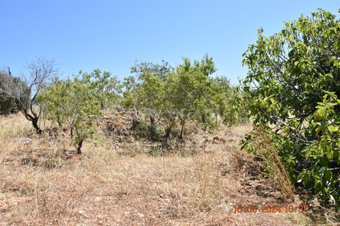 Helårsgrund i Lagoa, Faro, Lagoa - € 150.000 | Ref: 359240144 - foto 1