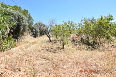 Helårsgrund i Lagoa, Faro, Lagoa - € 150.000 | Ref: 359240144 - foto 2