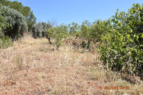 Helårsgrund i Lagoa, Faro, Lagoa - € 150.000 | Ref: 359240144 - foto 3