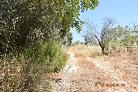 Helårsgrund i Lagoa, Faro, Lagoa - € 150.000 | Ref: 359240144 - foto 4