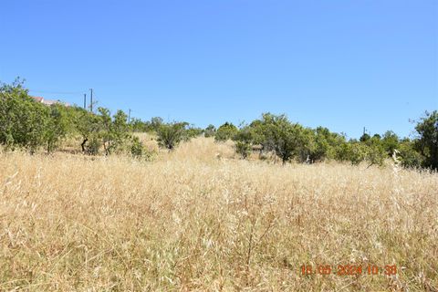 Helårsgrund i Lagoa, Faro, Lagoa - € 150.000 | Ref: 359240144 - foto 6