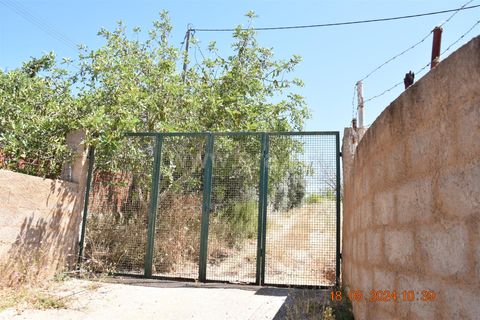 Helårsgrund i Lagoa, Faro, Lagoa - € 150.000 | Ref: 359240144 - foto 9