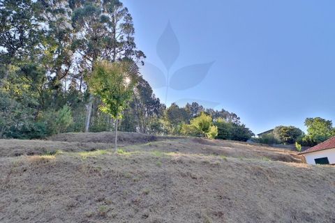 Helårsgrund i Vila Verde, Braga, Vila Verde - € 44.900 | Ref: 013-4074 - foto 2