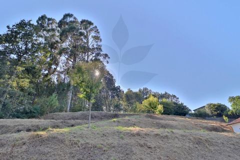 Helårsgrund i Vila Verde, Braga, Vila Verde - € 44.900 | Ref: 013-4074 - foto 17
