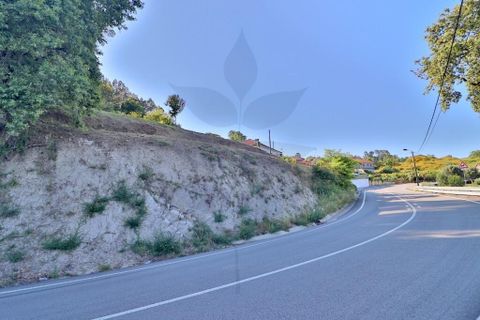 Helårsgrund i Vila Verde, Braga, Vila Verde - € 44.900 | Ref: 013-4074 - foto 20