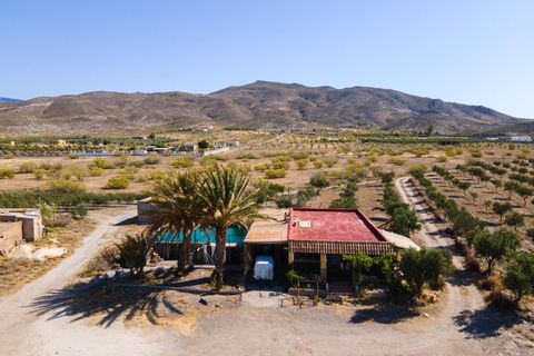 Terra a Tabernas, Almeria, Tabernas - € 549.000 | Ref: EXP07893/8930 - foto 2