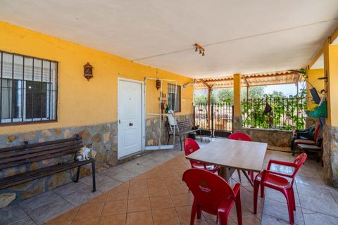 Terra a Tabernas, Almeria, Tabernas - € 549.000 | Ref: EXP07893/8930 - foto 6